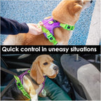 PHOEPET No Pull Dog Harness, Unique Colors Reflective Adjustable Dog Vest, with Soft Training Handle Metal Clips for Small Medium Large Dogs (Purple Base & Green Straps,XL)