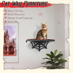 Gothic Wall Mounted Halloween Shelf Coffin Spider Web Style Cat Tree Wall Load Bearing up to 30 Lbs/ 14 kg Black Cat for Indoor
