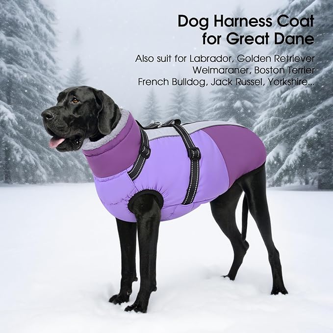 SUNFURA Dog Coat for Small Dogs, Warm Dog Winter Jacket with Harness Built in, Waterproof Pet Snow Jacket Fleece Cold Weather Coats for Puppy Chihuahua, Maltese, Purple XS
