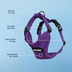 Voyager Step-in Pet Harness - All Weather Mesh, Adjustable Step in Harness for Cats and Dogs by Best Pet Supplies - Purple, XL
