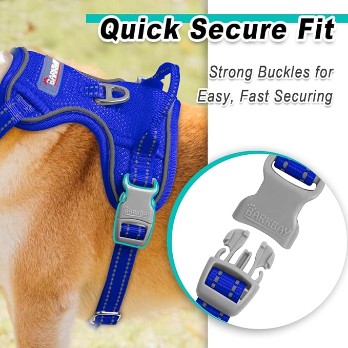 BARKBAY Dog Harness No Pull Mesh for Small Dogs - Adjustable, Reflective, Comfortable, No Choke, Heavy-Duty - Perfect for Outdoor Training, Walking, and Hiking-Strong&Durable- S & Sapphire Blue Mesh