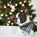 Elegant little tail Christmas Dog Bandana, Holiday Girl Boy Dog Bandanas for Small Medium Large Soft Dogs Washable Square Dog Scarf Adjustable Dog Kerchief