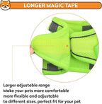 Dog Harness with Leash Set, No-Pull Step-in Reflective Pet Harness with 1 Leash Clips, Adjustable Soft Padded Easy Walk Dog Vest for Small Medium Large Dogs, Cats(Fluorescent, XXXSmall)