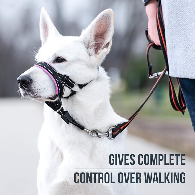 GoodBoy Dog Head Halter with Safety Strap - Stops Heavy Pulling On The Leash - Padded Headcollar for Small Medium and Large Dog Sizes - Head Collar Training Guide Included (Size 4, Pink)