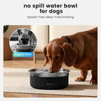 Gardner Pet Slow Water Bowl for Dogs, 2L/68oz Spill-Proof Pet Water Bowl with Floating Disk & Filter Screen, Stainless Steel No-Spill Water Dispenser for Medium Pets