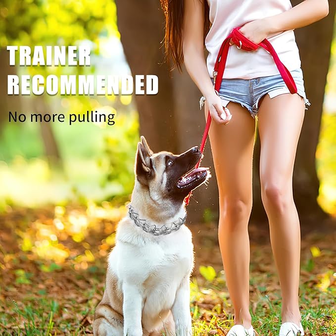 Stainless Steel Curved Prongs Dog Training Collar Adjustable Pet Pinch Collar for Dogs with The Swivel Ring 18in x 2.5mm (Neck Size up to 14in) M