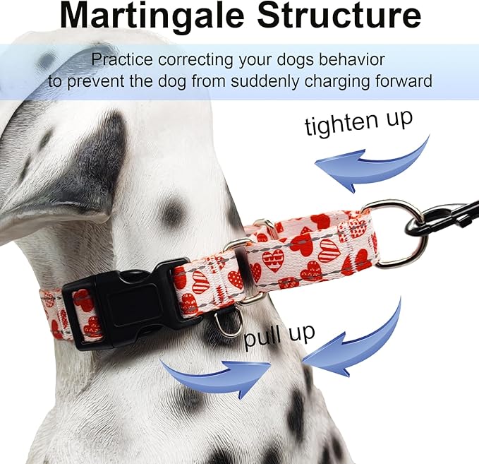 Valentines Reflective Martingale Collar for Dogs with Quick Release Buckle Cute Girl No Pull Dog Collars (Red Heart, Large)