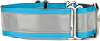 If It Barks - 1.5" Reflective Martingale Collar for Dogs - Adjustable - Made in USA - Strong, Durable, and Comfy - Ideal for Training - Suitable for Most Breeds - Medium, Turquoise