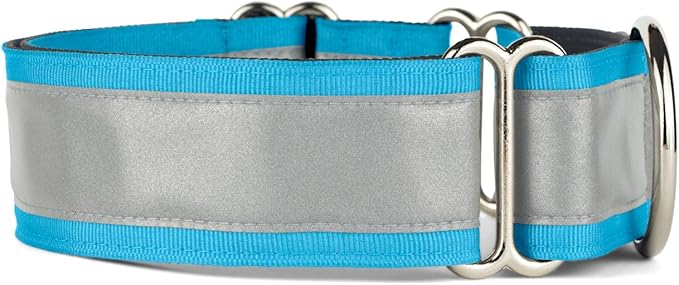 If It Barks - 1.5" Reflective Martingale Collar for Dogs - Adjustable - Made in USA - Strong, Durable, and Comfy - Ideal for Training - Suitable for Most Breeds - Large, Turquoise