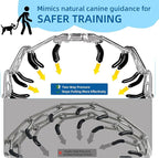 Adjustable No Pull Dog Collar with Cap for Small, Medium and Large