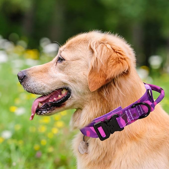 Tactical Dog Collar with Heavy Duty Metal Buckle and Control Handle for Medium Large Dogs Training(Purple Camo, X-Large)