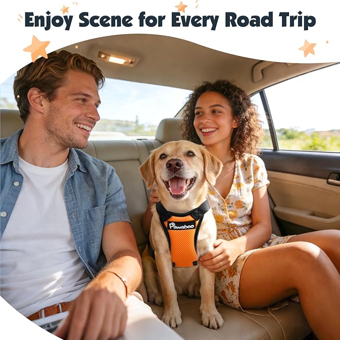 Pawaboo Dog Seat Belt Harness for Car, Dog Car Harness Seatbelt with Double Clips, Adjustable Breathable Pet Vest & Dogs Safety Tether with Elastic Bungee for Small Medium Large Pet, M, Orange/Black