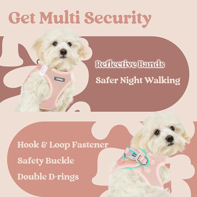 rabbitgoo Small Dog Harness, Step-in Soft Mesh Puppy Vest with Safety Buckle, Breathable Reflective Pet Harness for Small Sized Dogs, Pink S