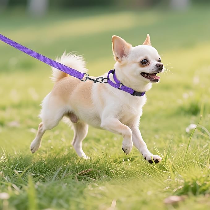 Martingale Collar for Dogs with Quick Release Buckle, Reflective Soft Padded & Escape Proof, Adjustable Nylon Dog Collars for Training & Daily Walking (Purple,XS)
