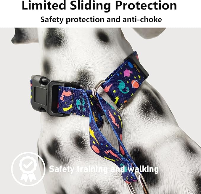 Martingale Collar for Dogs with Buckle No Pull Adjustable Nylon Limited Slip Training Dog Collars (Blue Dinosaur, Small)