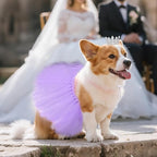 2 Pcs Dog Tutu Dress with Pearl Crown for Small Medium Pet Cat Dog Halloween Costume Dress for Ballet Birthday Party Wedding Photo Prop