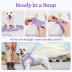 rabbitgoo Dog Harness Small Sized and Leash Set, Step in Soft Light Puppy Vest, Breathable Mesh Pet Harness, Reflective for Safe Easy Walking, Light Purple XXS
