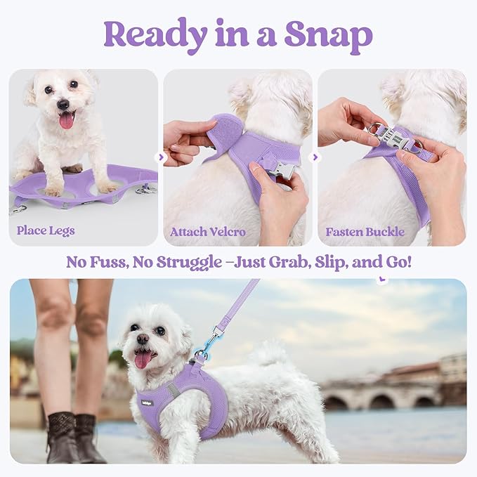 rabbitgoo Dog Harness Small Sized and Leash Set, Step in Soft Light Puppy Vest, Breathable Mesh Pet Harness, Reflective for Safe Easy Walking, Light Purple XS