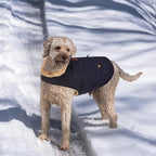 Queenmore Warm Dog Coat, Cold Weather Puffer Dog Jacket with Ultra Thick Plush Lining, Storage Pockets (Dark Navy, Medium)