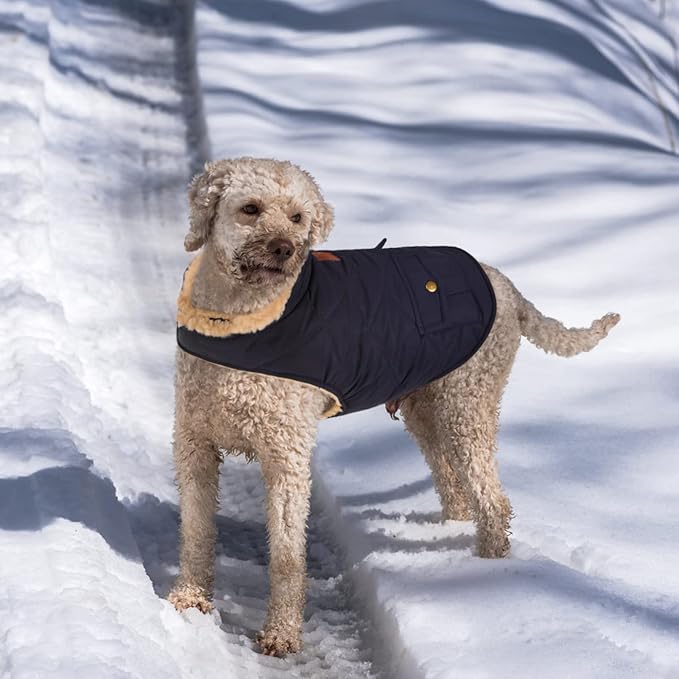 Queenmore Warm Dog Coat, Cold Weather Puffer Dog Jacket with Ultra Thick Plush Lining, Storage Pockets (Dark Navy, Medium)