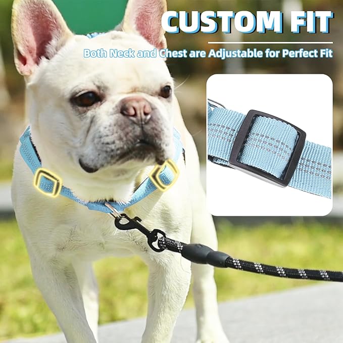 PUPTECK No Pull Dog Harness Small Sized Dog, Adjustable Reflective Pet Vest Harness with Bungee Handle, Escape Proof No Choke Harness for Small Dogs Walking Training, Sky Blue S