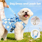 BAEJMJK Dog Dress Bowknot Harness Leash Set for Small Dogs Cats Daisy Floral Girl Dog Dresses Cute Puppy Princess Clothes Pet Doggy Outfits Spring Summer Breathable Dresses(Blue,Medium)