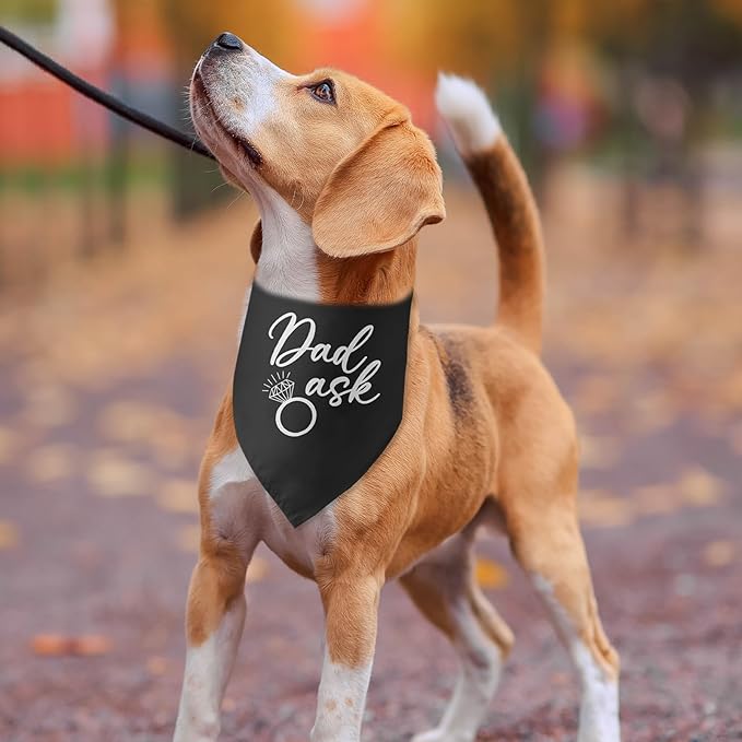 Dad Asked Dog Bandana Engagement Gifts for Couples Announcement Wedding Photo Prop Pet Scarf Accessories for Pet Dog Lovers Gifts