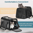 19 x 12 x 12 Large Cat Car Carrier – Roomy Escape-Proof Cat Car Seat for Safe Driving, Lockable Zippers & Safety Tether, Soft-Sided Travel Carrier for Road Trips & Vet Visits