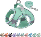 AIITLE Teacup Puppy Harness with Leash - Adjustable Soft Vest with Magic Tape & Reflective Safety Strips, Easy-Put-On for Poodles, Pomeranians - Gym, Hiking, Travel (Turquoise, S)