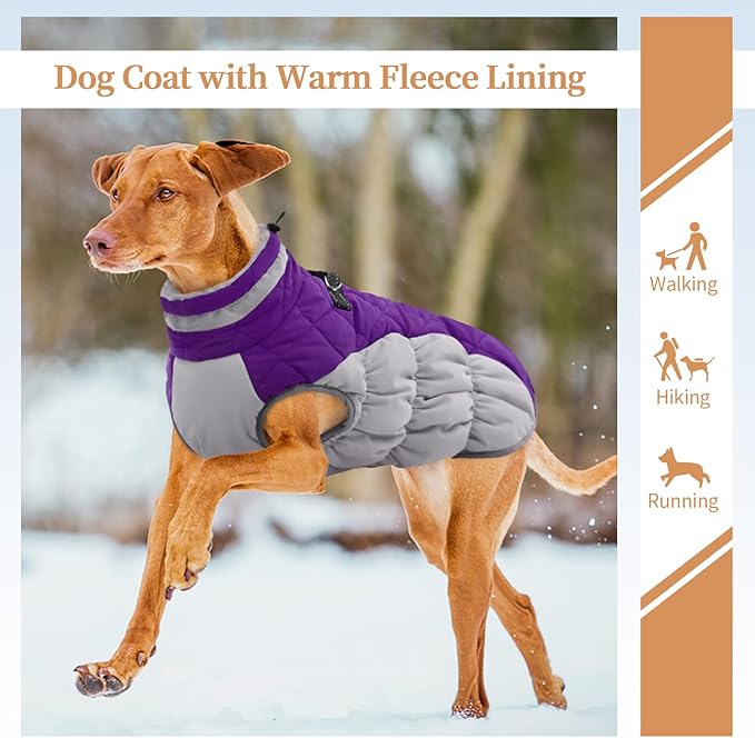 Large Dog Coat, XXLarge Dog Winter Coat, Waterproof Pet Jacket with Back Zipper,Extra Large Pet Coats, Warm Fleece Jacket with D-Ring, Windproof Winter Clothes Golden Retriever,Purple,XXL