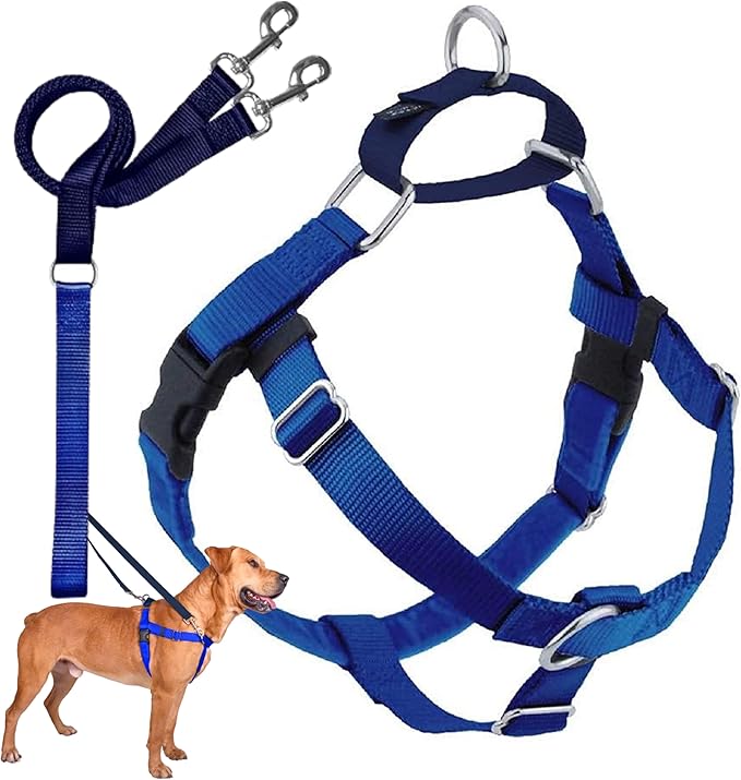 2 Hounds Design Freedom No Pull Dog Harness, Adjustable Harness and Leash Set, Easy Walking & Comfortable Control, Fits Small, Medium & Large Dogs, Solid Colors, Made in USA, 1" XXL, Royal Blue