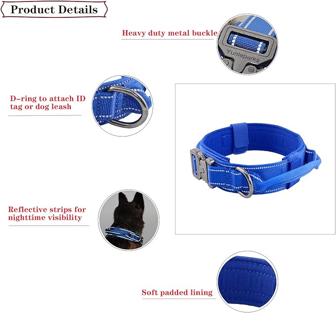 Tactical Dog Collar with Heavy Duty Metal Buckle and Control Handle for Medium Large Dogs Training(Bright Blue, X-Large)
