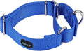 Mikivery Martingale Dog Collar Nylon Adjustable and Safety Training Colourful Comfortable Metal Buckle Pet Collars for Small Medium and Large Dogs(Royal Blue,M)