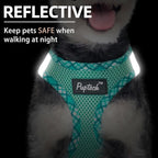 PUPTECK Dog Harness and Leash Set for Small Medium Dogs No Pull Step-in Soft Mesh Puppy Cat Vest Harnesses Reflective at Night, Green M