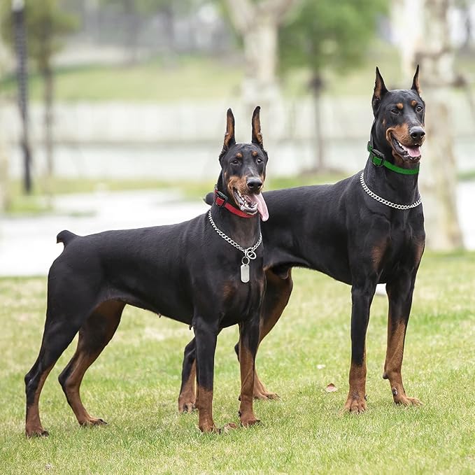 Educator PE-090 Add-A-Dog Receiver Collar – Compatible with ET-300, ET-400, EZ-900 & PE-900 Training Systems – Includes 3/4" Biothane Collar Strap – Expand 1-Dog System to 2 Dogs, Pink