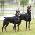 Educator PE-090 Add-A-Dog Receiver Collar – Compatible with ET-300, ET-400, EZ-900 & PE-900 Training Systems – Includes 3/4" Biothane Collar Strap – Expand 1-Dog System to 2 Dogs, Orange
