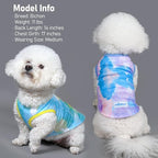 KYEESE 2Pack Dog Cooling Shirt, Breathable Dog Shirt for Small Dogs, Sun Protection Dogs Cooling Vest Tank Top, Lightweight Soft Sleeveless Summer Puppy Clothes, Purple+Blue, S