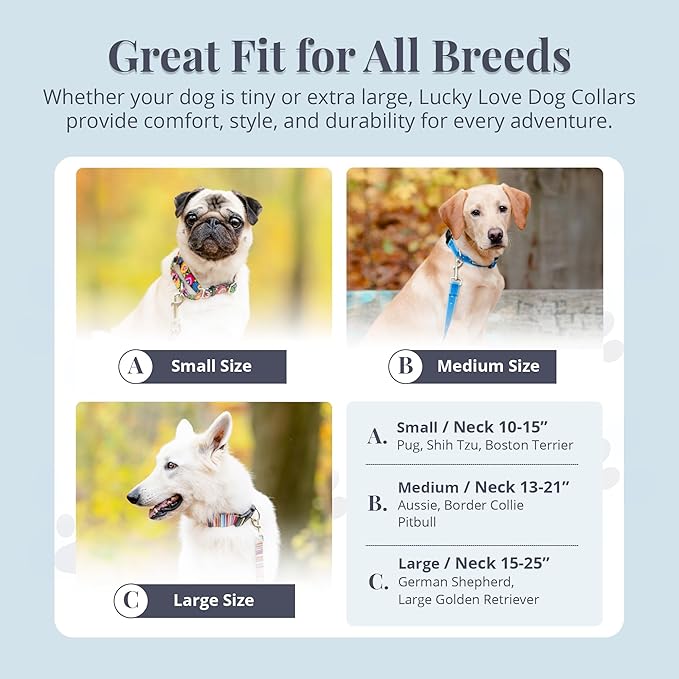 Lucky Love Dog Martingale Collar, Premium No Slip Martingale Collar for Medium Boy Dogs, Great for Whippets, Greyhounds, and More (Medium, Blue Laguna)