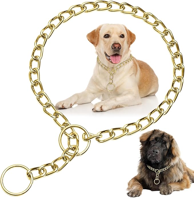 Dog Chain Collars, Metal Slip Link Training Heavy Duty Dog Choker Collar Martingale Puppy Collars for XS Small Medium Large Big XL Breed Dogs (Gold, XL(Neck Max 22inch) D4.0mm)