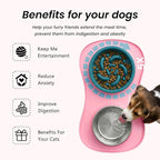 Slow Feeder Dog Bowls Stainless Steel Food and Water Bowl Set 3 in 1 No Spill Waterproof Silicone Pet Food Mat Puppy Feeding Station for Large Medium Small Breed Non Slip Metal Dish Tray by YINEYA