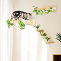 MEOWOOU 3 in 1 Cat Wall Furniture Set, 3 Pack Climbing Shelves Set, Cats Hammock, Wall Climbing Steps, Solid Rubber Wood Wall Shelf Cat Steps and Perches for Sleeping, Climbing, Scratching and Playing