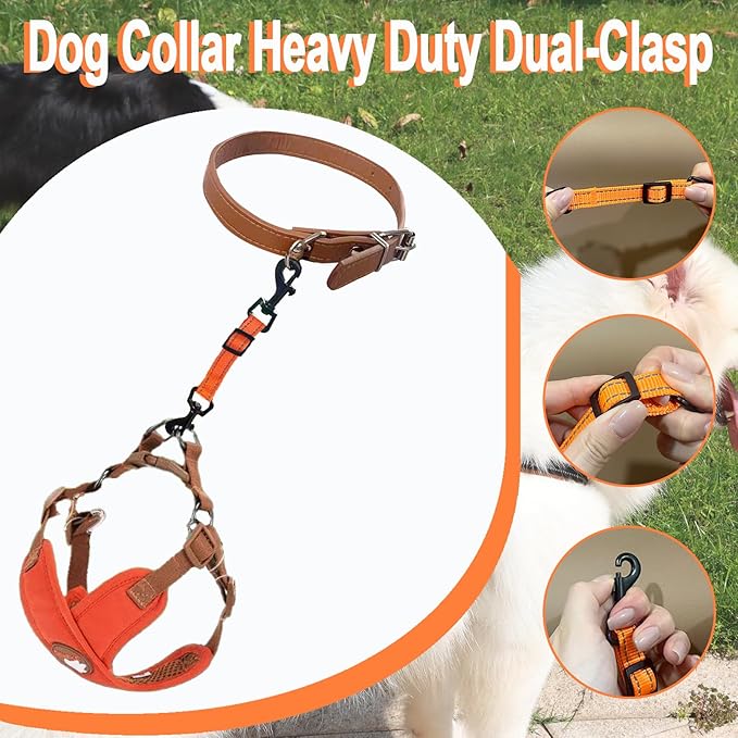 2 Pcs Dog Collar Safety Clips with Double Ended Clasps | Adjustable Collar Backup Clip for Dog Harness & Collars Connectors, Training for Walking, Running, and Hiking, Safety Clip - Orange