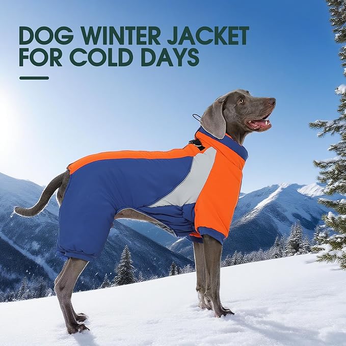 Kuoser Fullbody Dog Coat - Warm Winter Coat with Reflective Jacket & Built-in Harness, Suitable for Small Dogs Like Yorkie, Bichon Frise, Shih Tzu (Blue S)