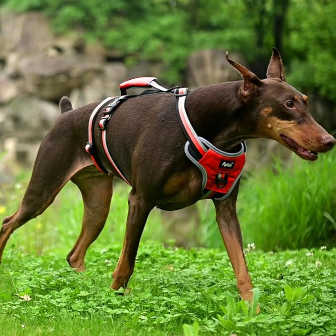 PUPTECK Escape Proof Dog Harness with Padded Handle, No Pull Pet Vest Harness Durable Reflective for Medium Large Dogs Walking Training and Running, Red, XL
