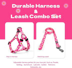 QQPETS Dog Harness Leash Set Adjustable Heavy Duty No Pull Halter Harnesses for Small Medium Large Breed Dogs Back Clip Anti-Twist Perfect for Walking (M(19"-26" Chest Girth), Daisy)
