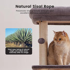 Gardner Pet 65in Heavy Duty Cat Tree Tower for Large Cats, Multi-Level Cat Furniture with Replaceable Sisal Scratching Post, Hammock | Extra-Large Platform & Condo (Grey)