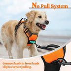 rabbitgoo Dog Harness No Pull with 2 Leash Clips, Adjustable Soft Padded, Reflective Oxford No Choke Pet Vest with Easy Control Handle for Large Dogs, Orange, XL
