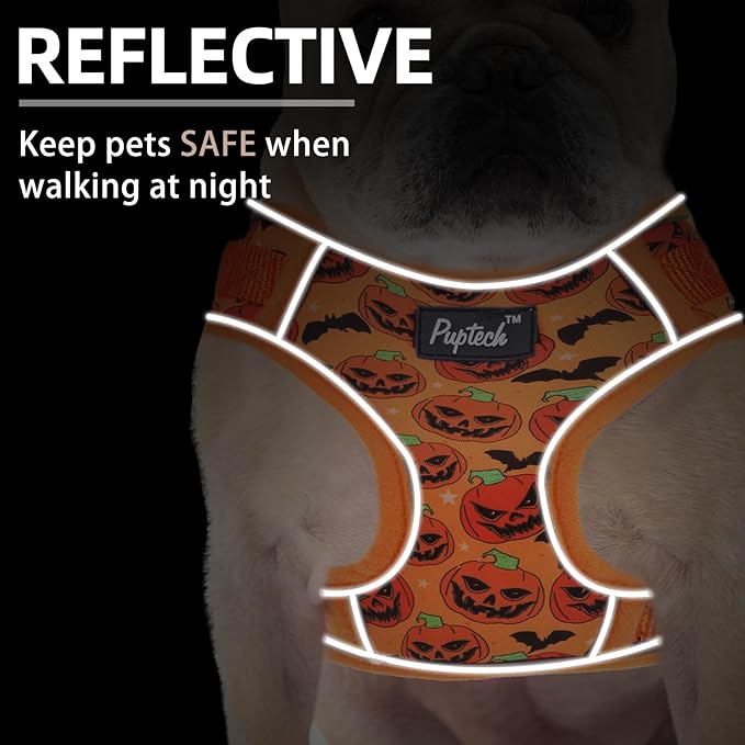 PUPTECK Halloween Small Dog Harness and Leash Set, No Pull Adjustable Puppy Cat Harness, Reflective Soft Mesh Pet Vest Small Sized, Pumpkin, M