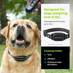 Premier Pet Dog Shock Collar - Safe Behavior Training - 1000ft Long Range Training Shock Collar with Remote - Waterproof Rechargeable Design - 3 Modes - 16 Levels of Static Stimulation - 2 Collars