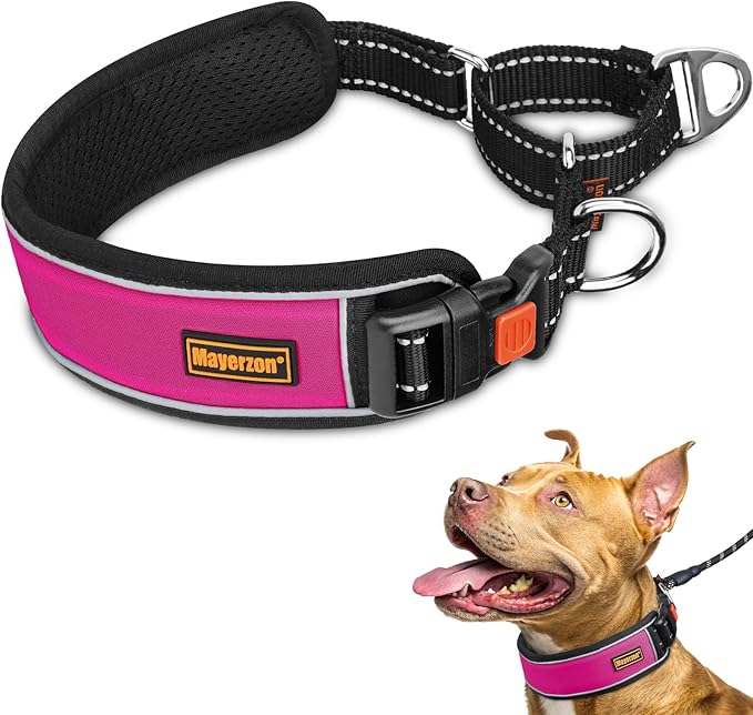 Mayerzon 2 Inch Wide Martingale Collar for Large Dogs, Patented No Pull Walking Training Dog Collar for Pitbull German Shepherd, with Buckle, Reflective Stitching, Adjustable (Hot Pink, L)